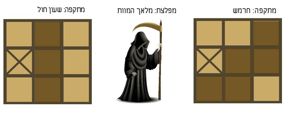 תמונה 14