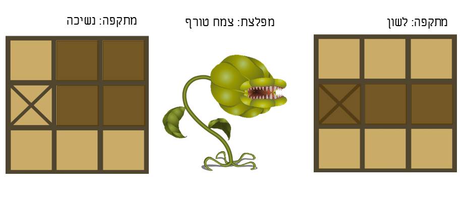 תמונה 2