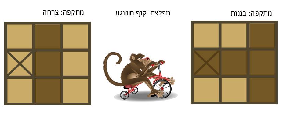 תמונה 20