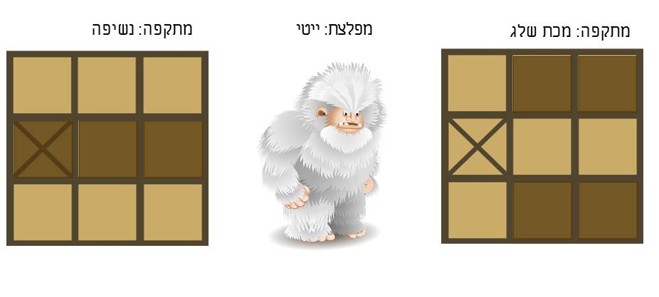 תמונה 3