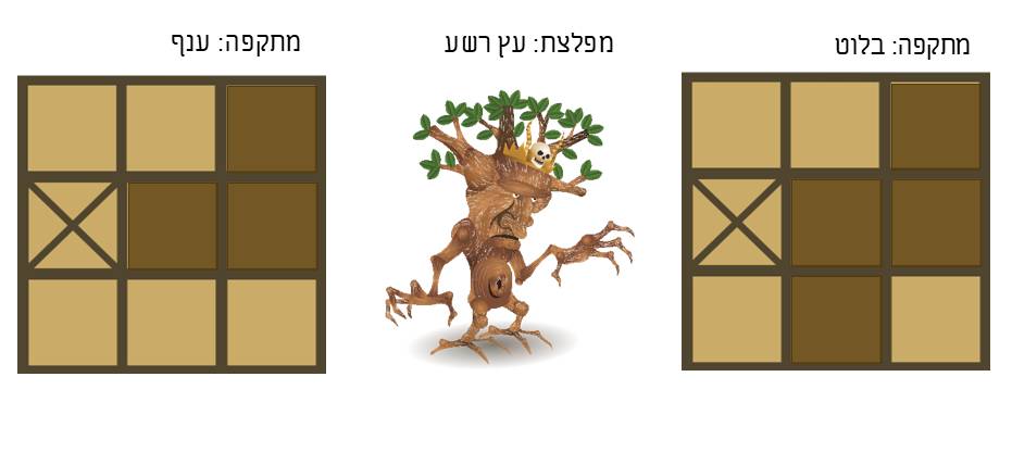תמונה 5